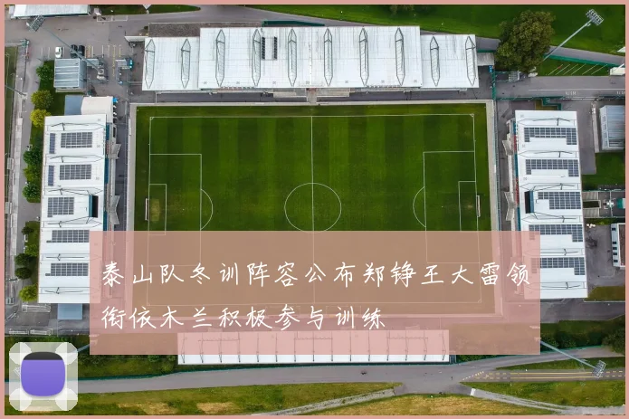 泰山队冬训阵容公布郑铮王大雷领衔依木兰积极参与训练